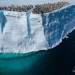 Due ricercatori greci si imbarcheranno in una spedizione in Antartide