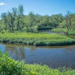 Il Minnesota DNR terrà porte aperte sul piano di gestione del Buffalo River State Park